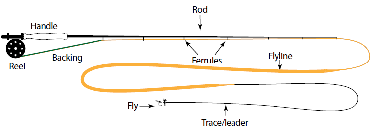 Fly Fishing Rod (flyfishingfromscratch.com)