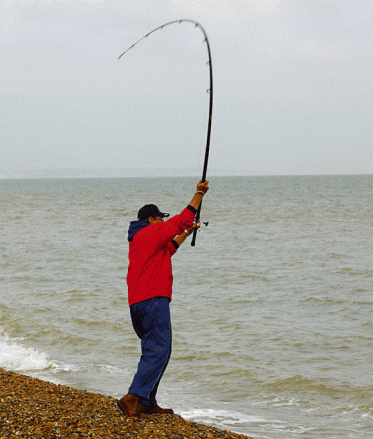 Mancing kasting ikan gabus 6 kiloan, sebuah cerita lama
