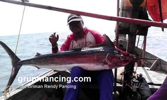 Marlin ini hasil mancing di perairan laut Karang Kusen Jepara
