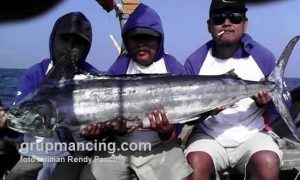Marlin josss hasil mancing di perairan laut Karang Kusen Jepara
