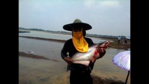 Spot mancing ikan patin di Waduk Mulur Sukoharjo9