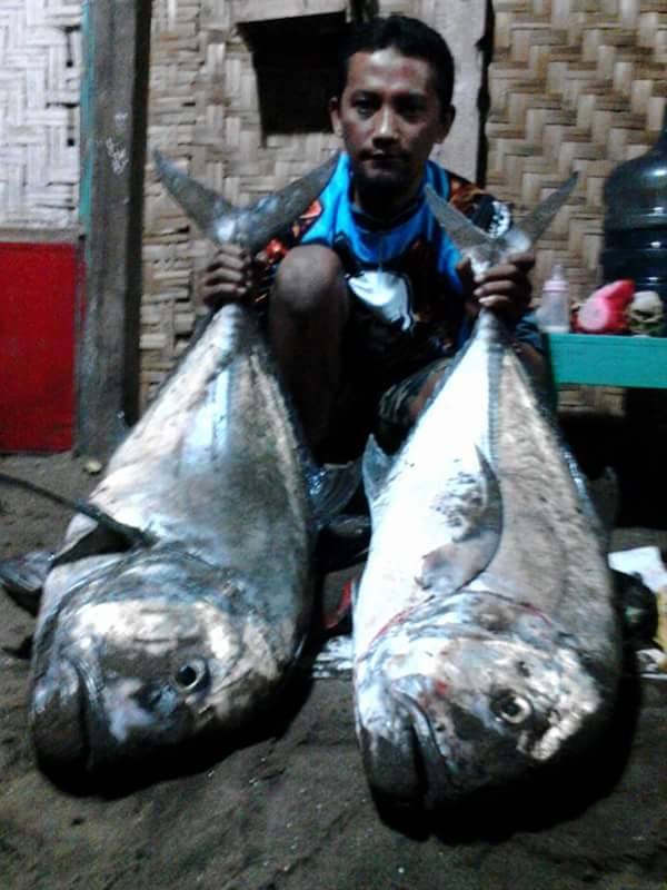 Ikan hasil mancing di spot mancing laut pilihan di Pantai Sine Tulungagung  (3)