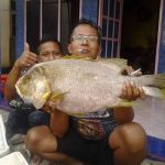 Ikan hasil mancing di spot mancing laut pilihan di Pantai Sine Tulungagung (5)