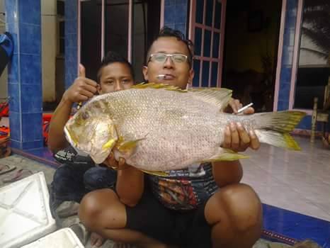 Ikan hasil mancing di spot mancing laut pilihan di Pantai Sine Tulungagung  (5)