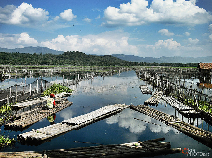 Spot mancing ikan nila di warung apung Klaten Jawa Tengah