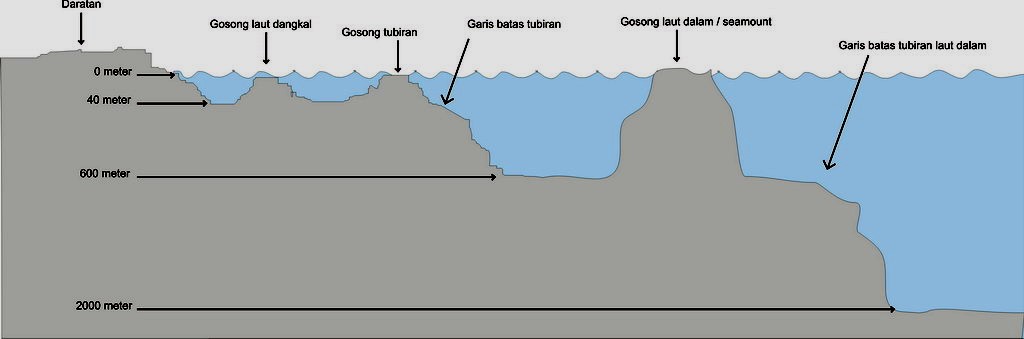 Cara mengetahui tempat yang banyak ikannya