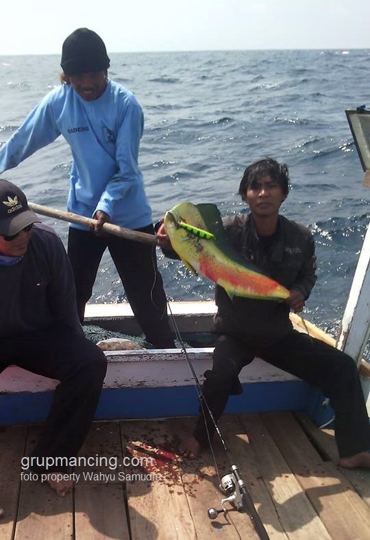 Ikan lemadang hasil pancingan di laut selatan via Krakal