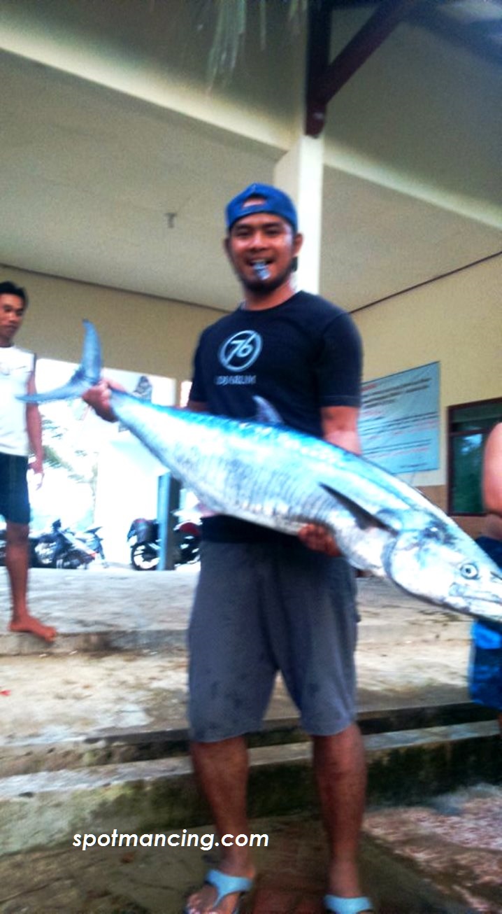 Ikan tengiri seberat 25kg hasil mancing di perairan Munjungan Trenggalek. Foto dikirim Om Apip Dwi Cahyono
