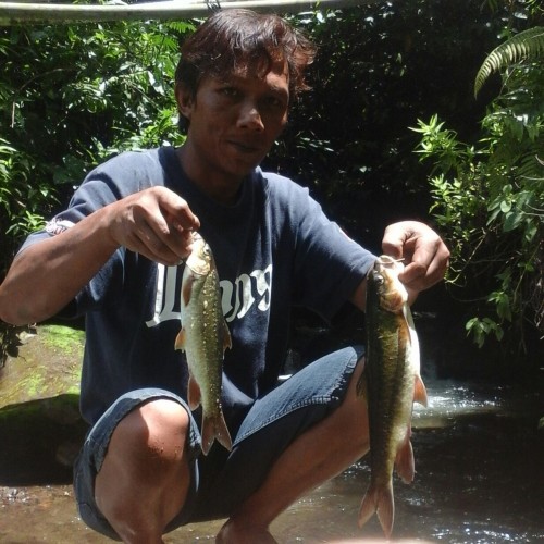 Hasil mancing ikan mahseer di Tawangmangu Karanganyar
