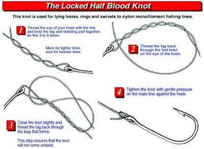 Teknik-The-Locked-Half-Blood-Knot