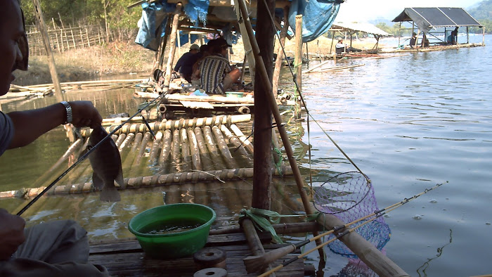 Rakit mancing Jatiluhur - berburu-ikannilabadot.blogspot.co.id