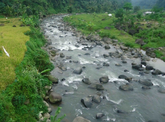 spot hampala sungai Logawa - Purwokerto