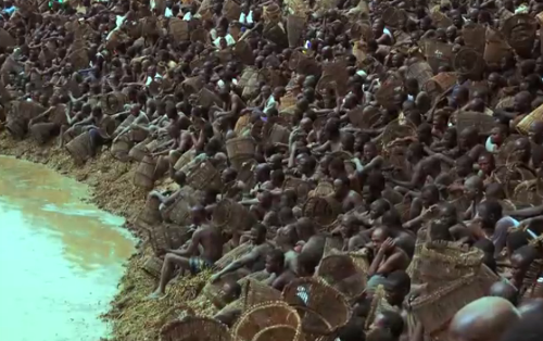 Sekitar 400 pria suku Dogon bersiap memancing ikan (Youtube/BBC)