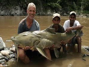 Jeremy Wade berhasil menangkap goonch fish, lele kanibal dari Sungai Kali-Nepal