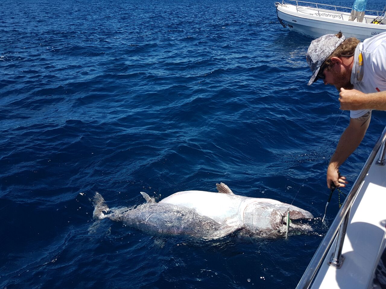 Tuna dog tppth 91 kg berhasil mencetak rekor baru di Long Reef
