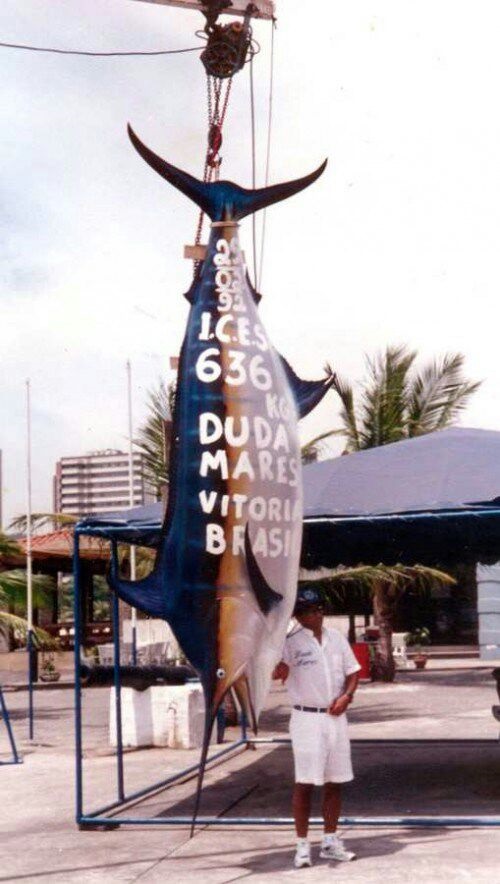 Hingga kini belum ada yang mampu memecahkan rekor Paolo Amorim asal Brasil. Dengan tangkapan blue marlin seberat 635 kilogram, angler ini membutuhkan waktu 80 menit.