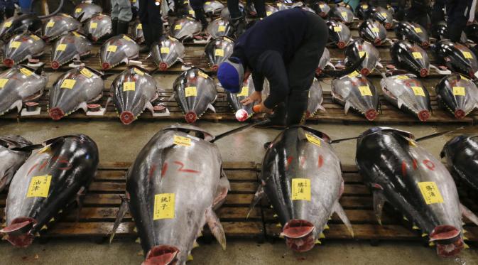 Penangkapan ikan tuna secara besar-besaran menjadi penyebab ancaman punahnya tuna