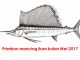 Primbon mancing ikan bulan Mei 2017