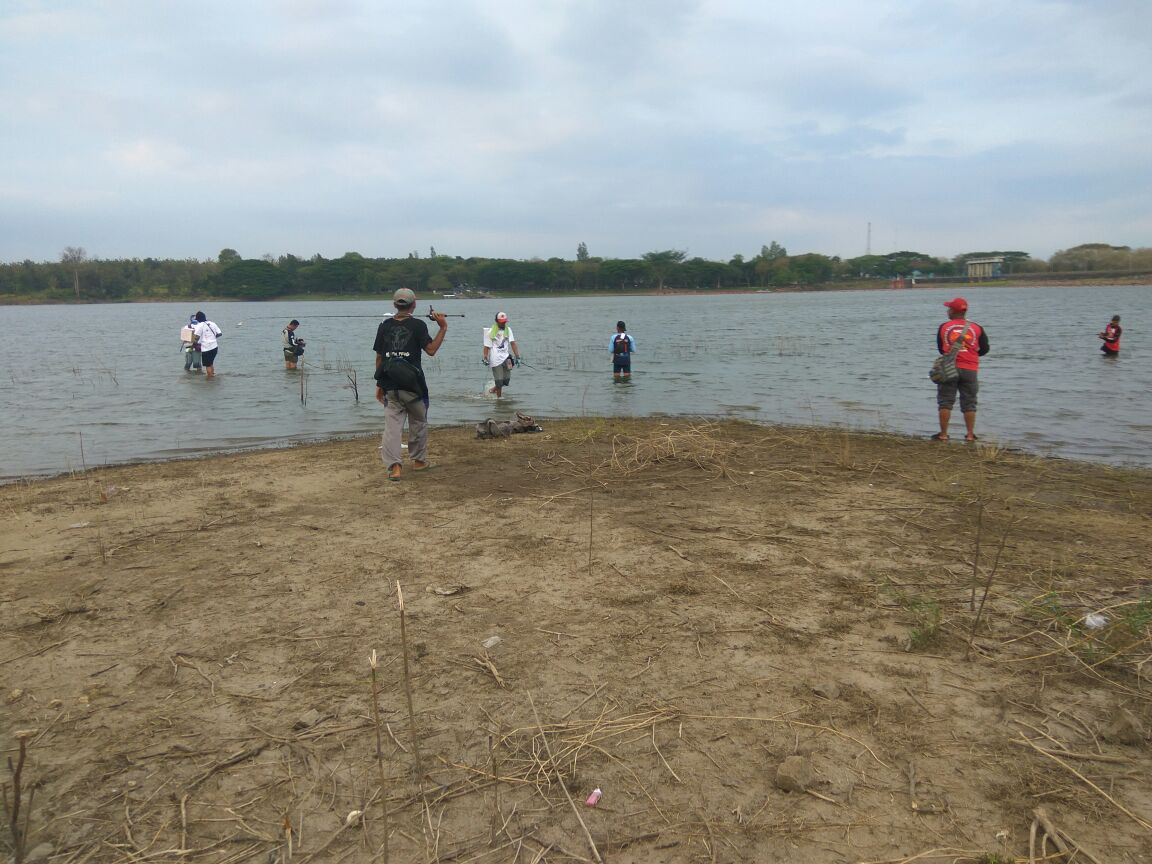 Seluruh peserta tanpa dikomando lansung menuju spot yang menurut mereka potensial terdapat ikan gabusnya.