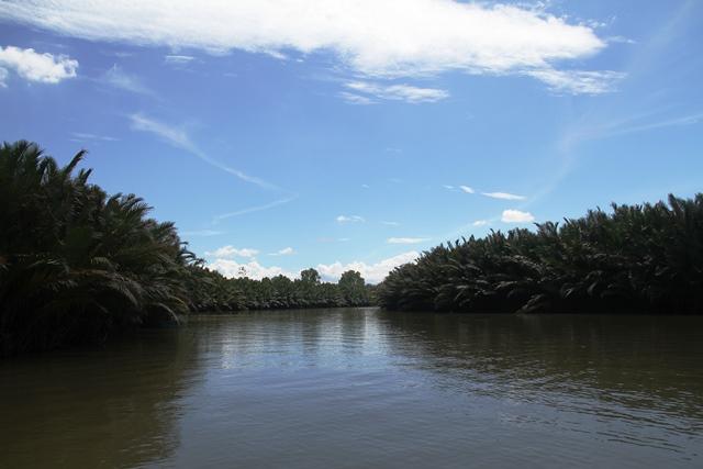 Sungai Tallo yang dipenuhi pohon Nipa dan Bakau (kompasiana.com)