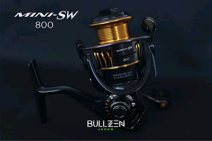Bullzen Mini SW 800